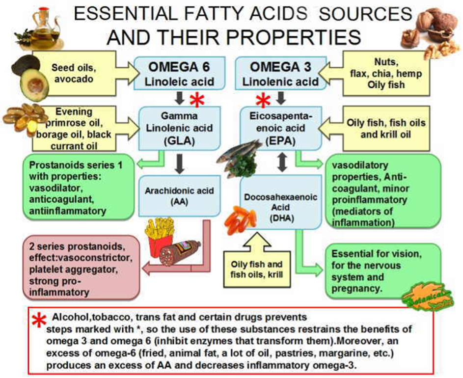 Kidney disease and C15 essential fatty acids