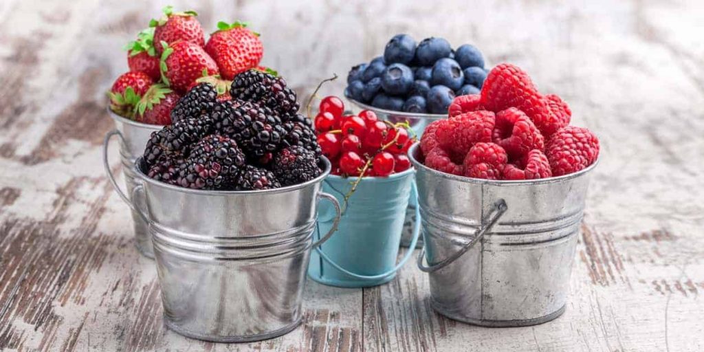 berries, kidney disease, cholesterol, anti oxidants
