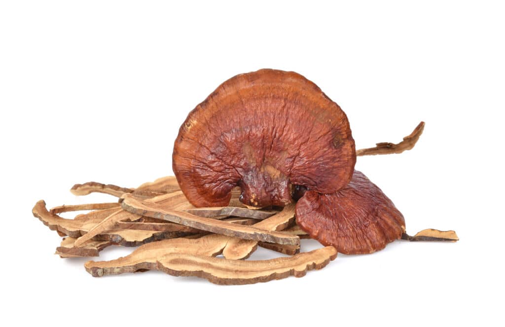 Reishi mushrooms and PKD, renal disease, Kidney disease, Diabetes