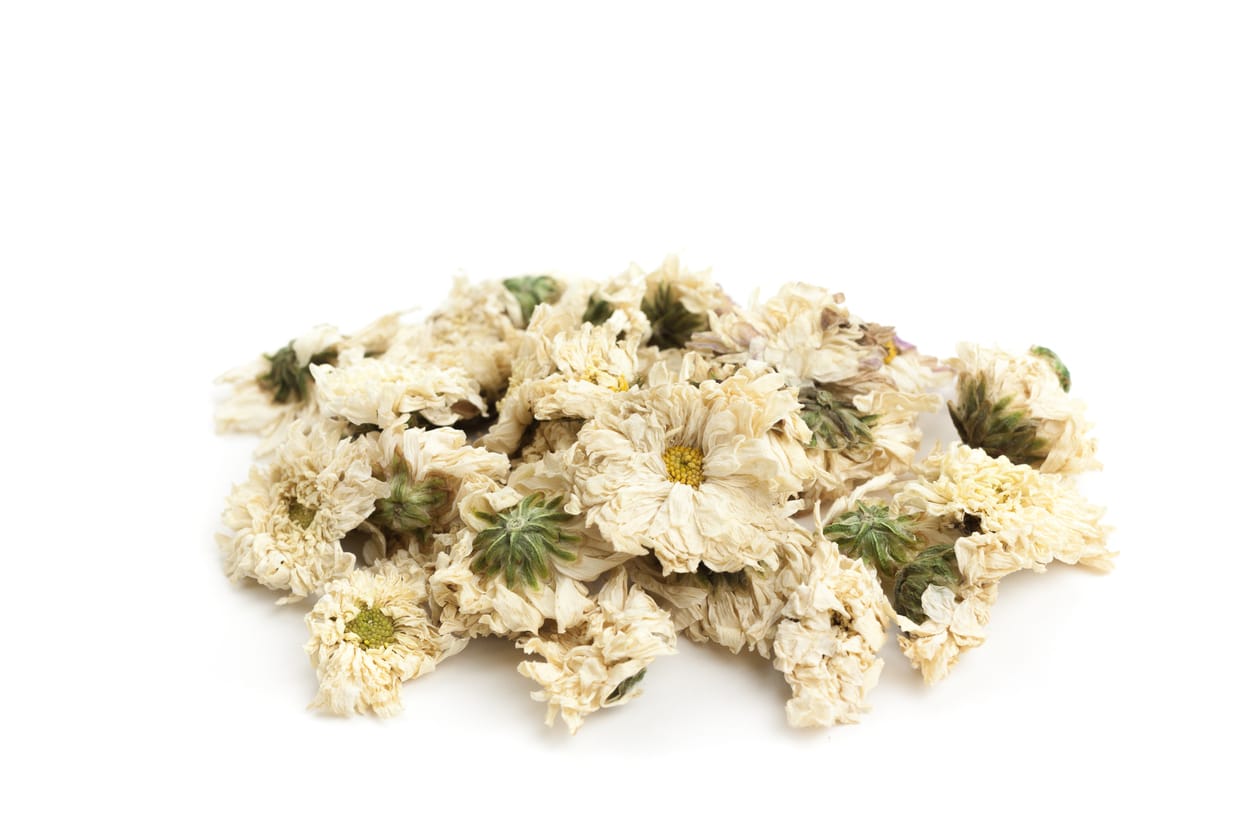 chrysanthemum and renal and kidney disease and high blood pressure